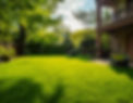 Firefly hyper realistic photo of clean yard with green grass after yard work completed 853