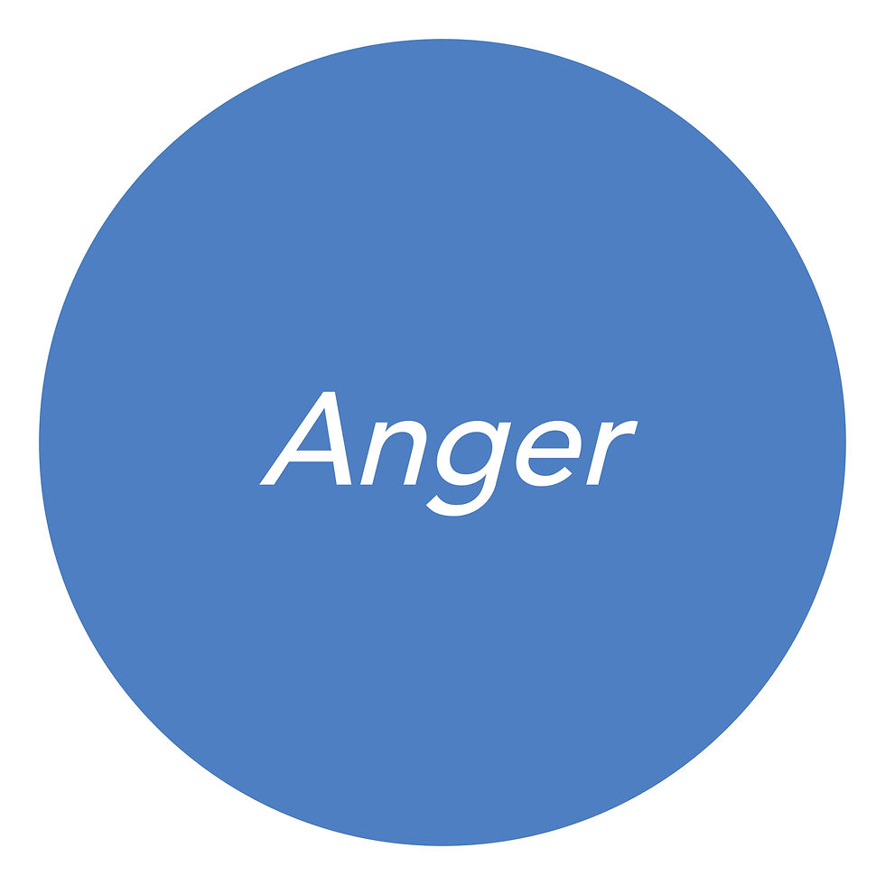 New Pathways Wellbeing Circles - Turning off Anger