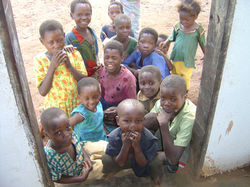 Elim Missions