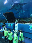 FHF Trip to GA Aquarium 2018