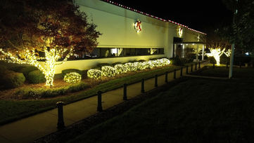 Merry and Bright Lighting Company