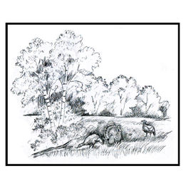 Jenson Etching HE056
