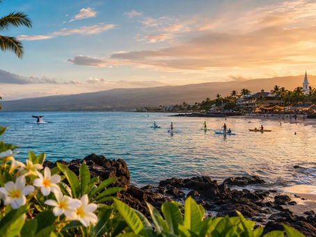 Seasonal scenes showing the best time to visit Kona, with whale watching, tropical flowers, paddling, and evening events.