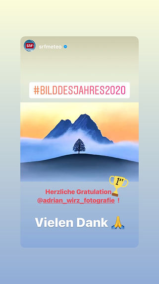 Bild des Jahres 2020