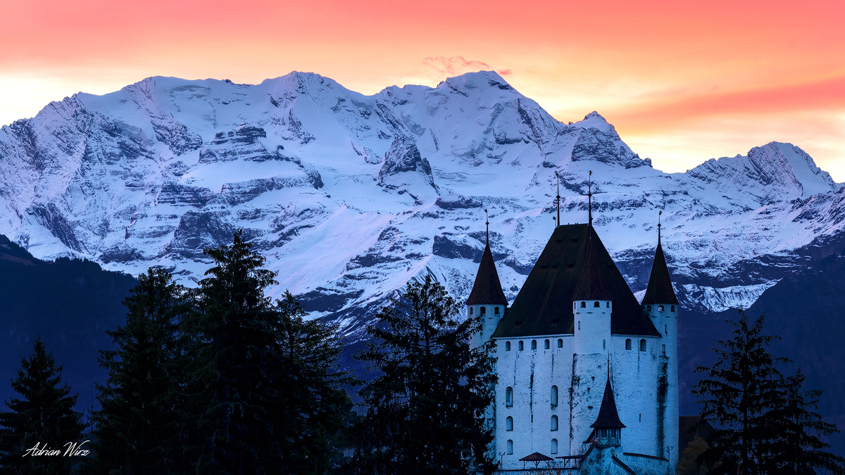 Schloss Thun
