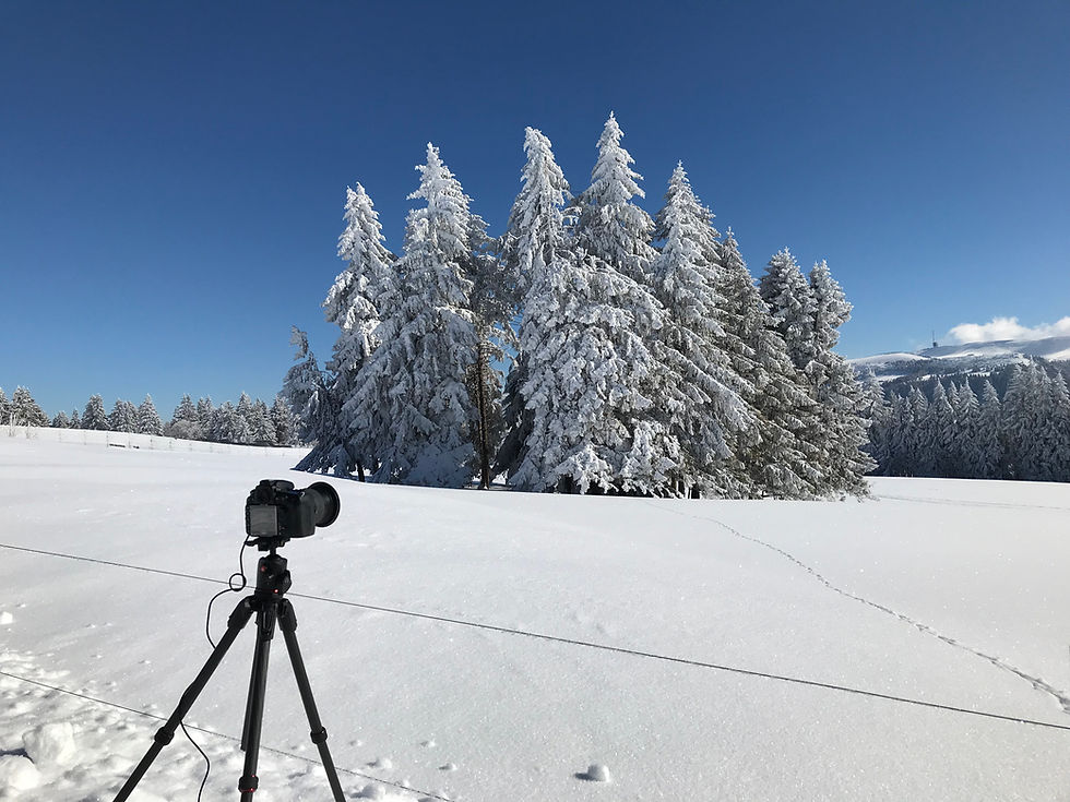 Mont Soleil mit Blick zum Chasseral
