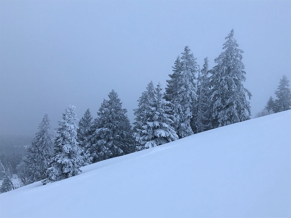 Tête de Ran im Neuenburger Jura