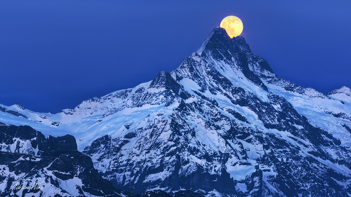 Schreckhorn