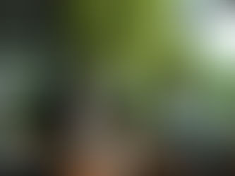 Why High-Performers Struggle With Career Decisions