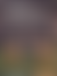 Database on set for VDK Bank