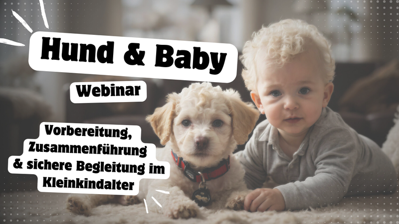 Ein Baby und ein Hund