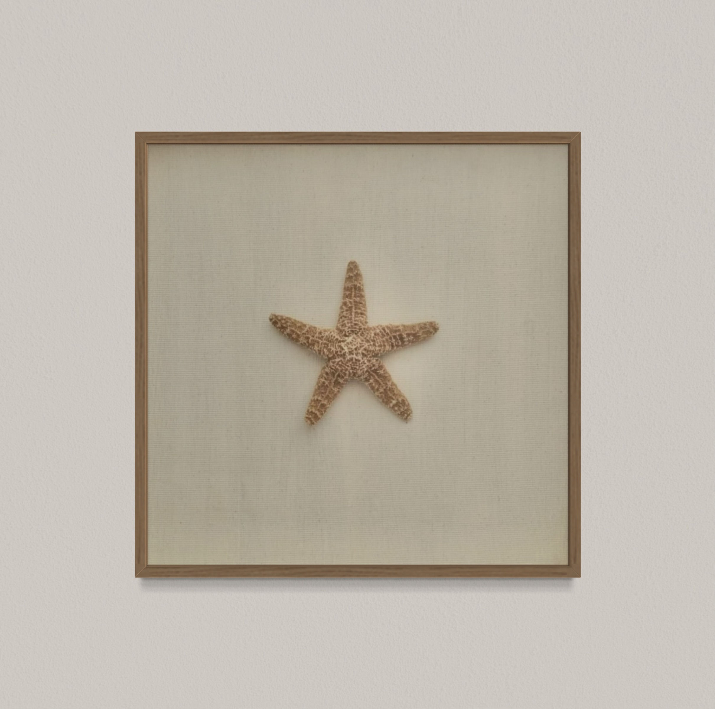 32.32_estrella de mar mini