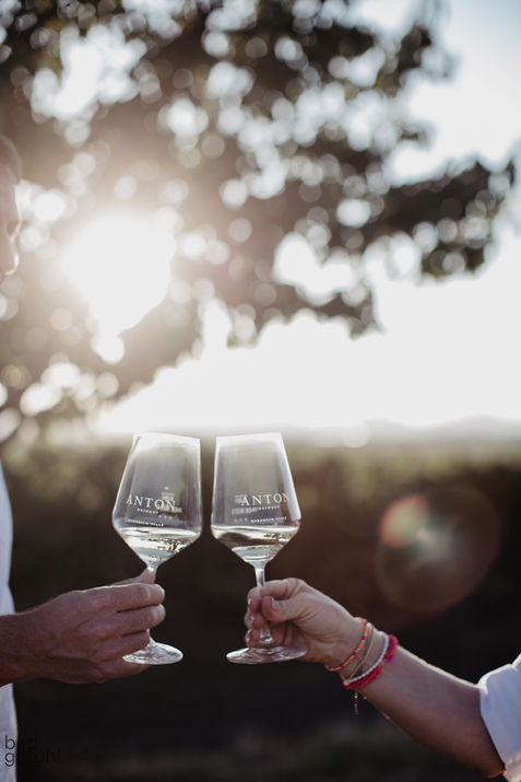 Businessfotografie Weingut Südpfalz, Businessfotografie Weingut SÜW,  Businessfotografie Weingut Landau, Weingut Fotografin Südpfalz, Pfalzfotografin SüdlicheWeinstraße, Sonnenuntergang Coupleshoot Sundownshooting Paarfotografie Websitefotografin Landau, 