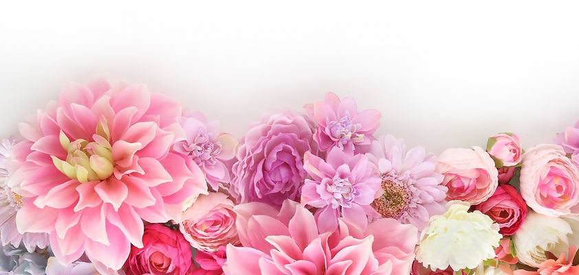 美しいまどかの花