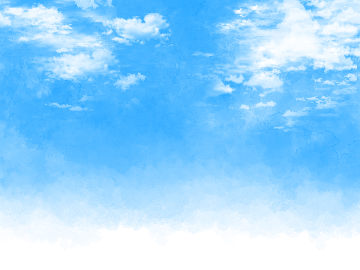 23348882.png