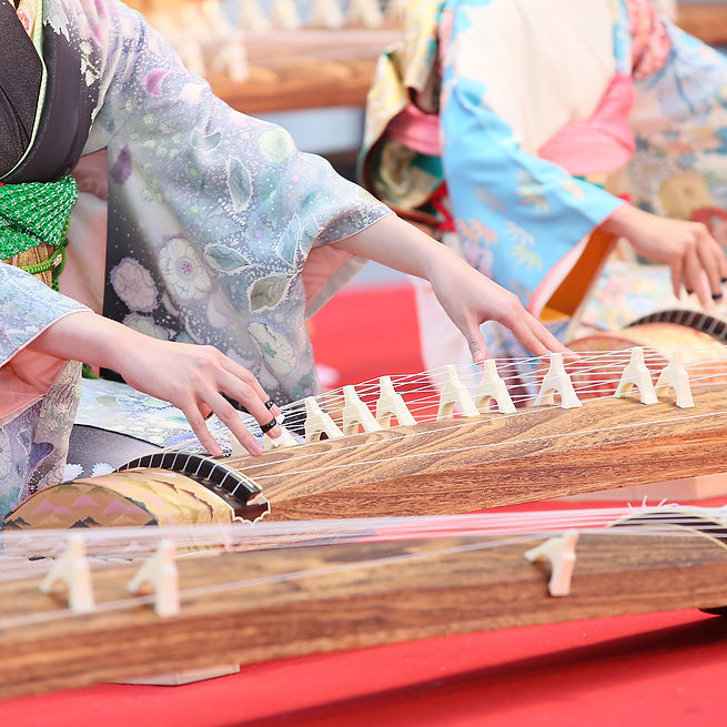 箏の演奏