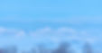 25794258_m_edited.jpg