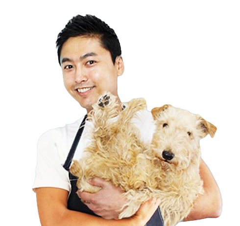 大地と犬