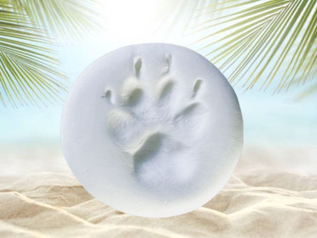 MAHALO~ありがとう~