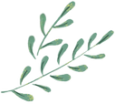 草
