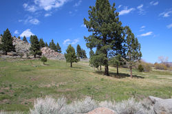 lot 5 pasture