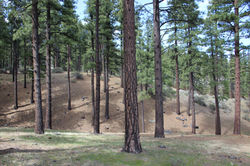 lot 2 8