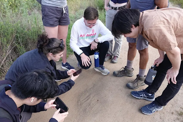 April 24: Join nature experts for data-gathering group hike in San Pasqual Valley