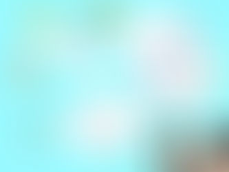 そろそろ・・・いっぽの同窓会しようか・・・
