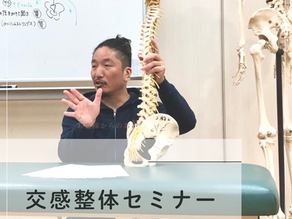 交感整体②中級　臨床テクニックコース