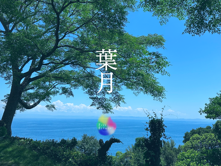 8月のスケジュール**