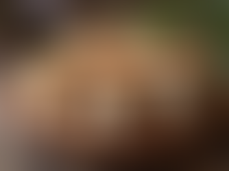 Understanding the Essence of Umami - What is Umami?