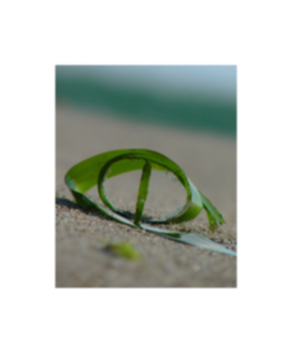 Sea Eye