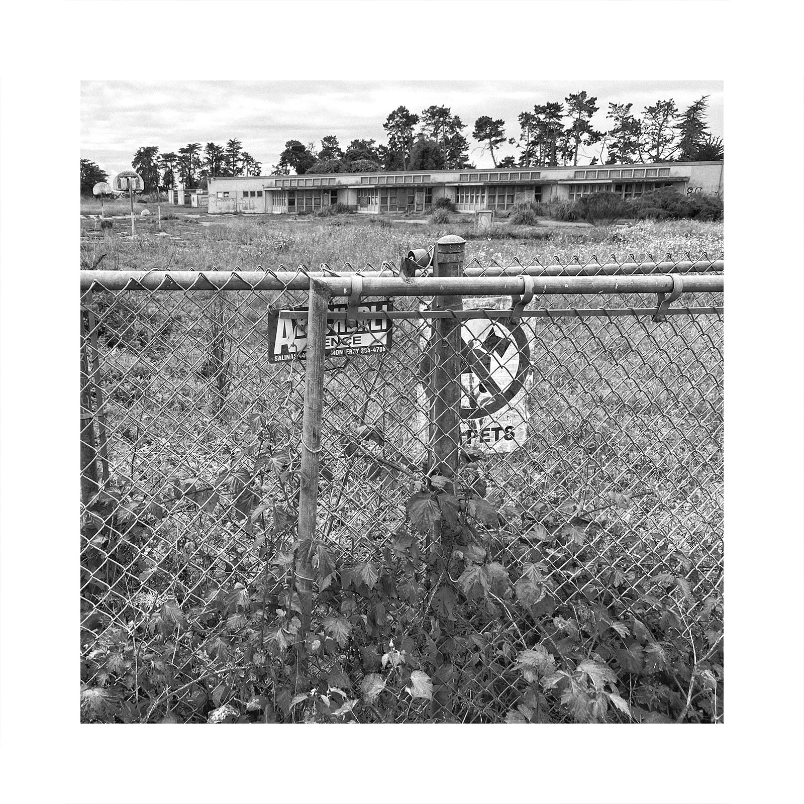 Moss Landing Middle School