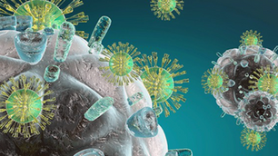 Chiropractic and the Immune System