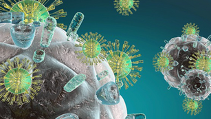 Chiropractic and the Immune System