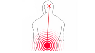 Lower Back Pain