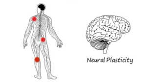 Pain is Created in Your Brain