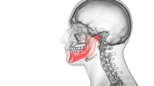 Chiropractic and the Jaw