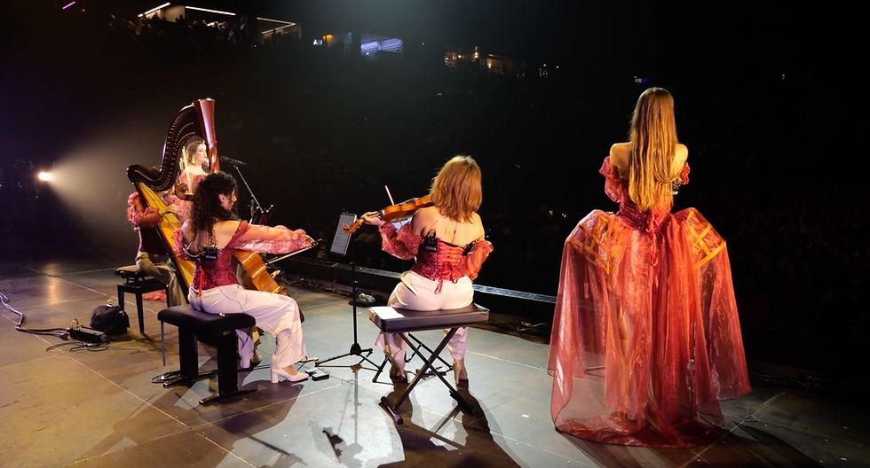 RE SI DO RE - Photo concert 11.png