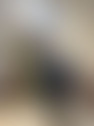 階段昇降機関係者お披露目会