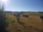 20180815_091851