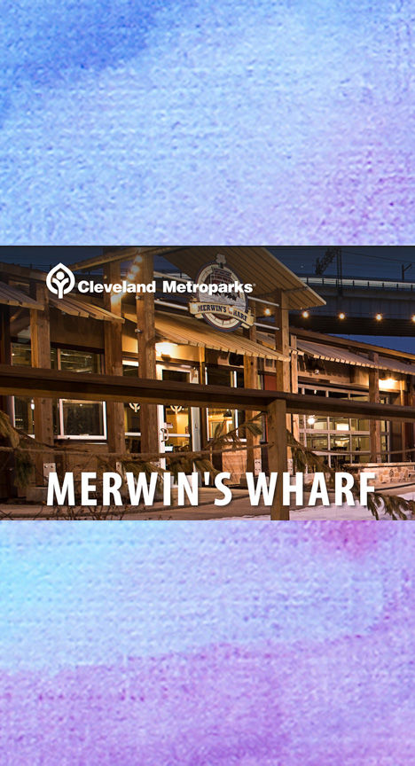 CAEC: Arts Reflections of Environment