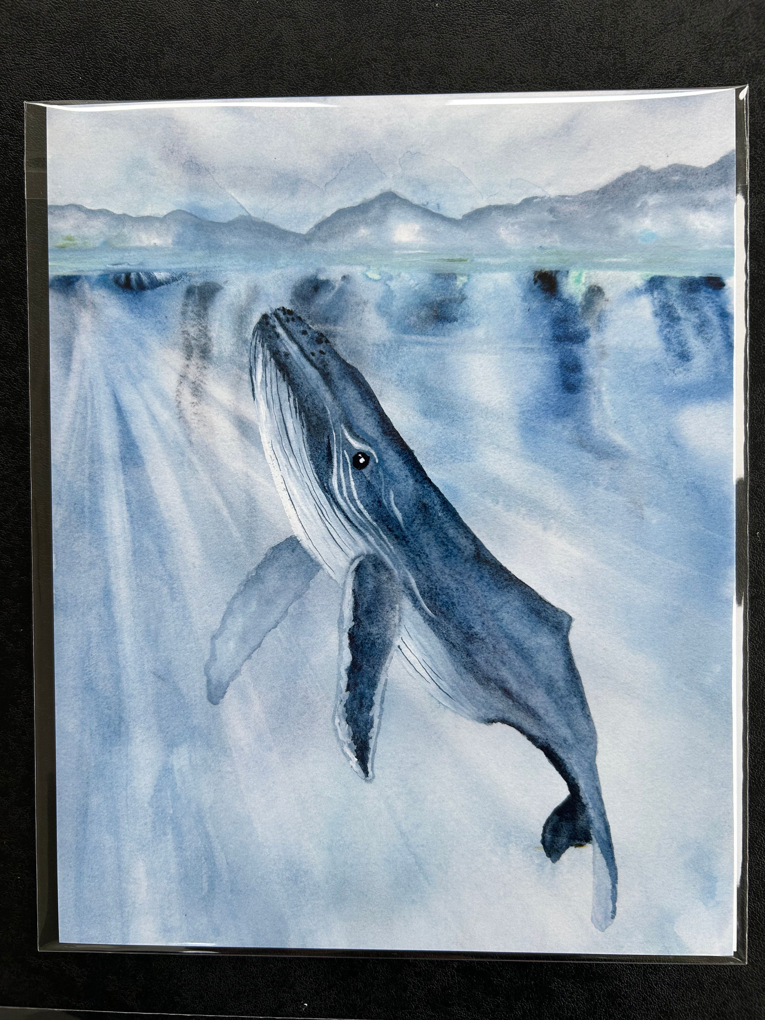 Humpback Whale