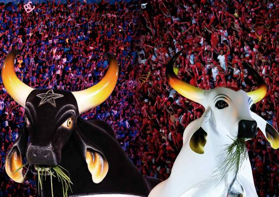 Complexo Cultural do Bumba