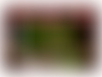 강남레깅스룸 안내 [ 강남레깅스룸가격 ] : 강남레깅스룸시스템 강남레깅스룸 알아보기