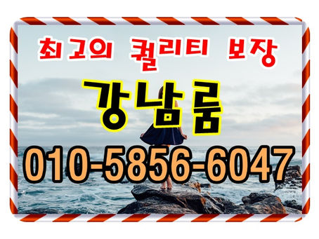 선릉미러룸 알아보자  [가격,시스템,서비스,위치,노는법] 정보