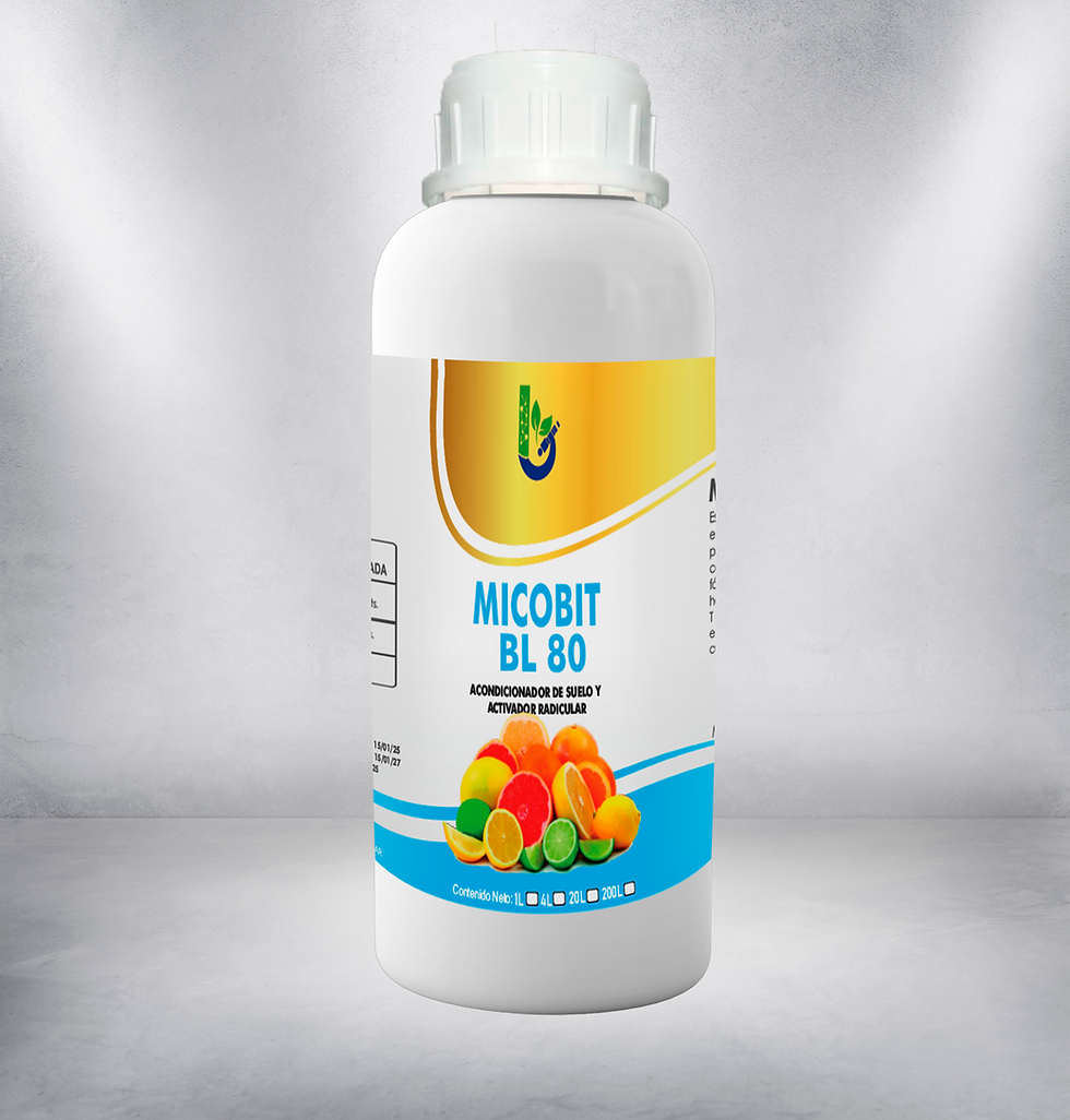 Micobit BL 80