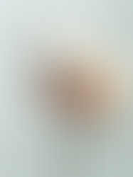 The Mirror is Broken