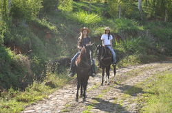 Horseback riding
