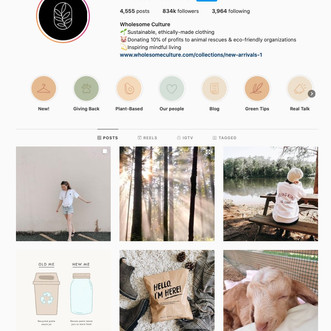 Wholesome Culture: Cultivating a Cruelty-free Community through Analytics